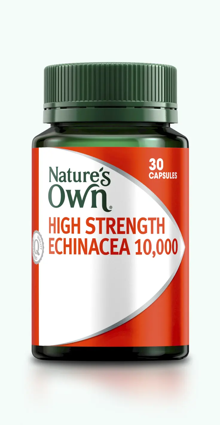 echinacea